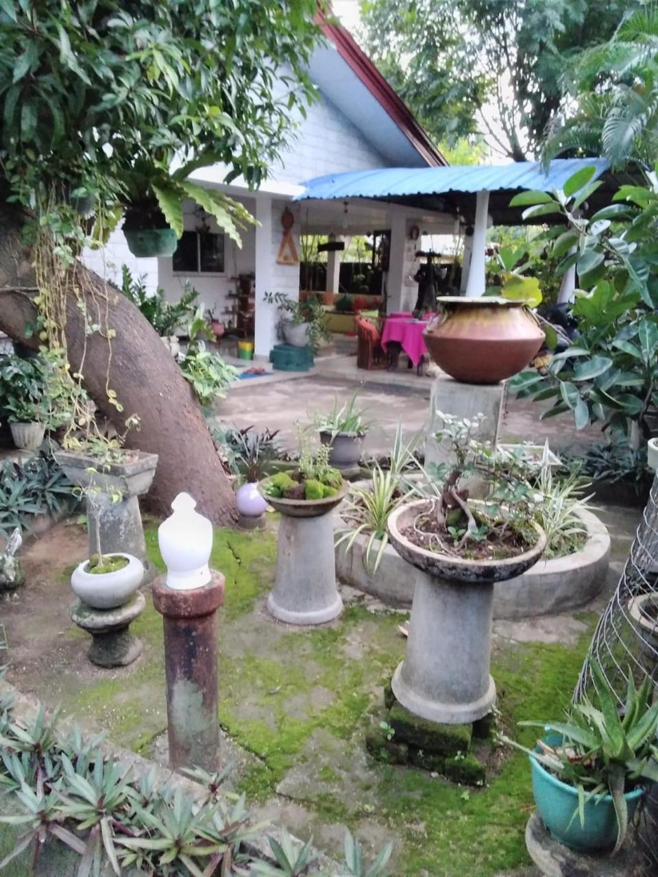 Rock Cascade Tourist Home & Cookery School Polonnaruwa Esterno foto