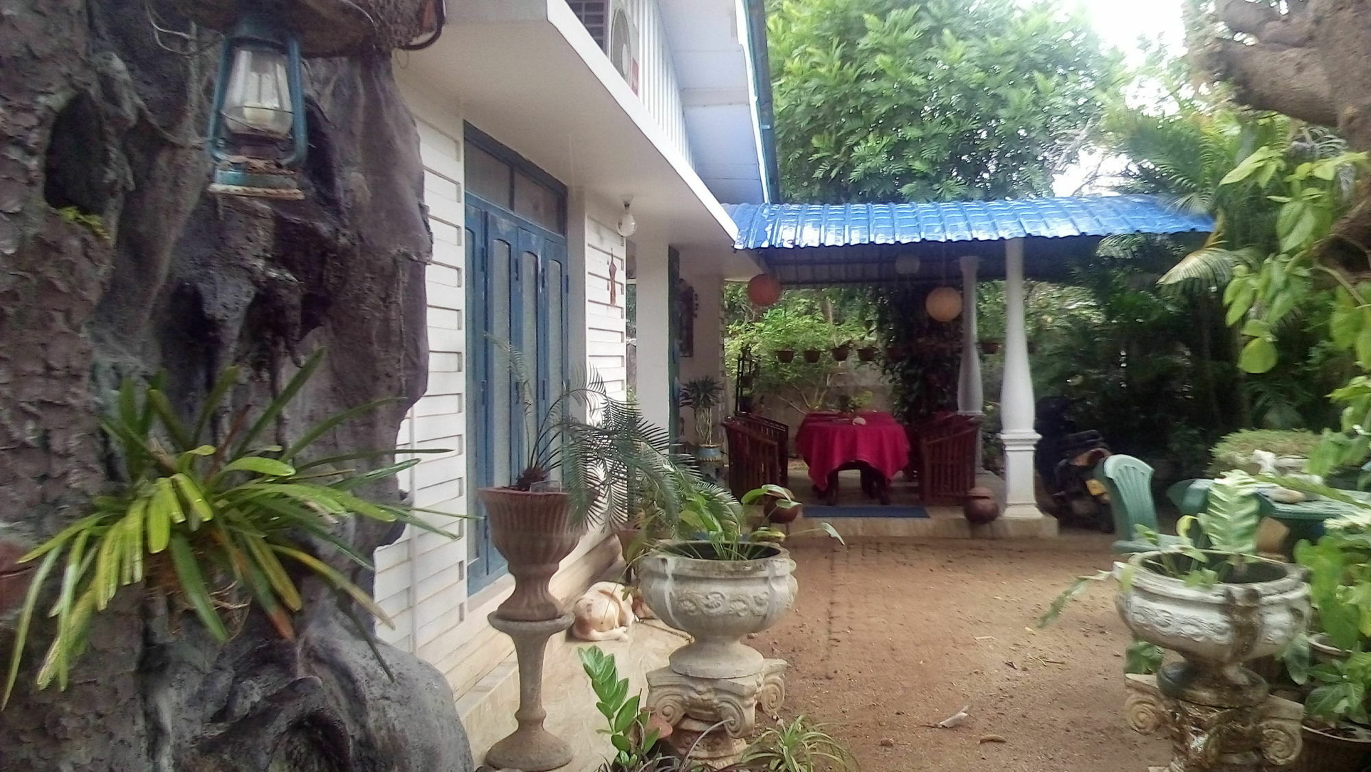 Rock Cascade Tourist Home & Cookery School Polonnaruwa Esterno foto